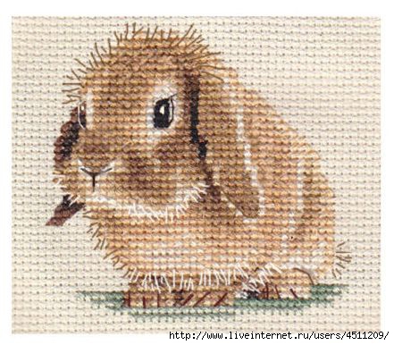 Схемы вышивки крестом «кролик»: 50 идей