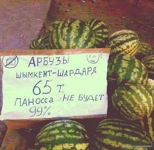 1406382237_blogozhaba09 (506x493, 150Kb)