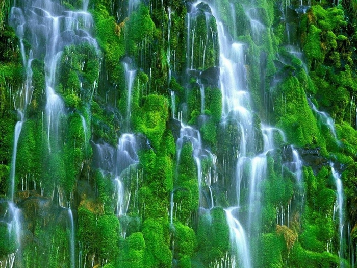 Amazing_Green_Waterfalls_Wallpaper_e4mph (700x525, 344Kb)
