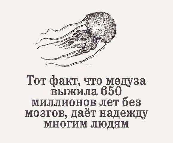 10513379_593870577395691_9158324087171395381_n (580x480, 97Kb)