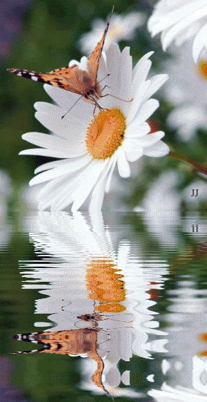 825944 (300x582, 565Kb)