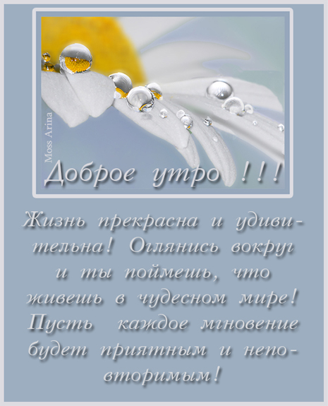 Утро солнце стихи. С добрым утром солнышко стихи. Доброе утречко солнышко стихи девушке. С добрым утром солнце стих. Доброе утро солнце мое стихи.