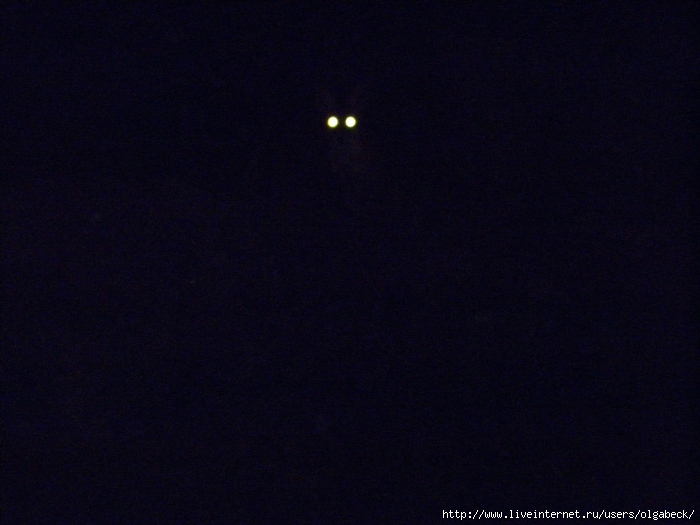 P7250004 (700x525, 205Kb)