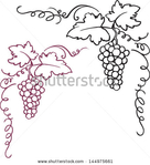  stock-vector-decorative-grapes-vine-vector-ornament-frame-144975661 (429x470, 95Kb)