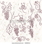  stock-vector-grape-design-elements-on-the-grunge-background-59999311 (450x470, 148Kb)