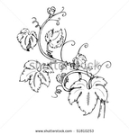  stock-vector-grape-leaves-baroque-plants-51810253 (450x470, 70Kb)