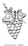 Превью stock-vector-grapes-bunch-of-grapes-on-a-white-background-98188547 (286x470, 60Kb)