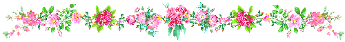 razdelitel_34 (500x61, 9Kb)