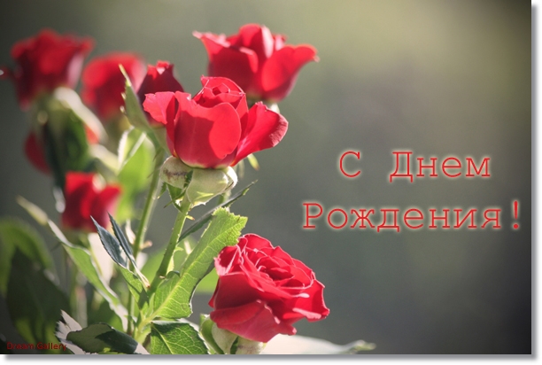 С днем рождения многая лета картинки