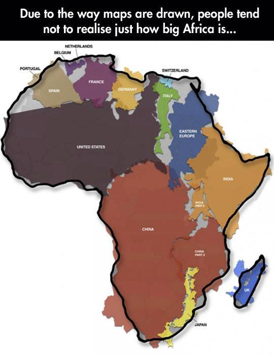 10583880_941126965914004_7987456878847375873_n (540x698, 35Kb)
