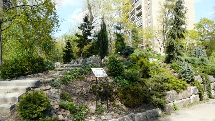 P1080715 (700x394, 97Kb)