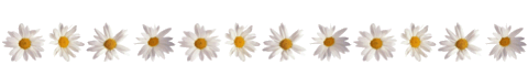 0_88952_4c177f56_L (480x69, 12Kb)