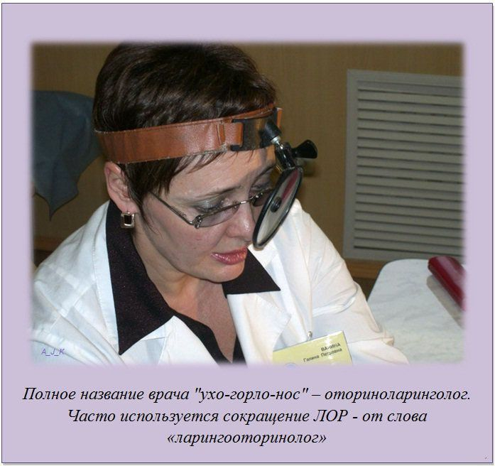 http://img0.liveinternet.ru/images/attach/c/11/115/285/115285162_12.jpg