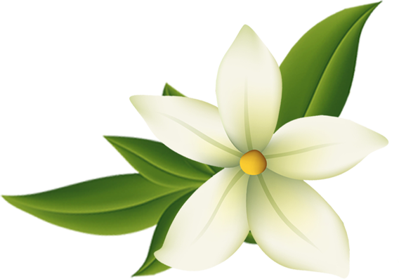 floral (118) (568x397, 153Kb)