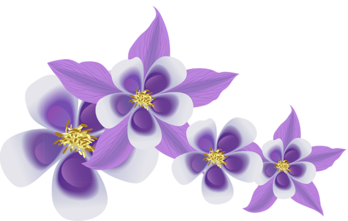 floral (131) (700x444, 204Kb)