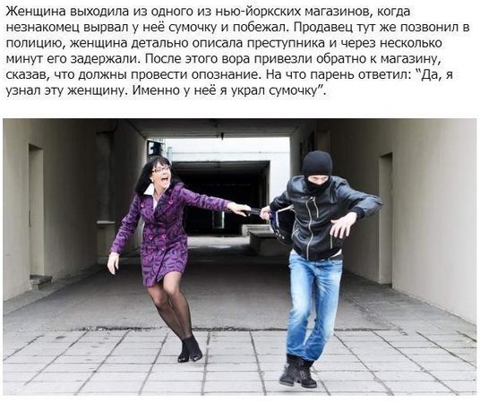 5684279_3665597 (536x450, 63Kb)