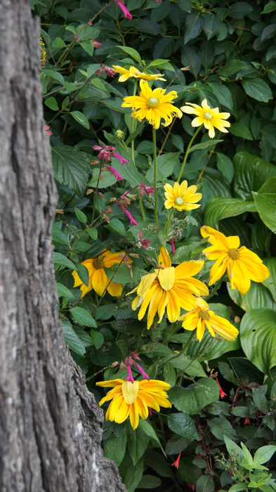 014_edited-1 (393x700, 144Kb)