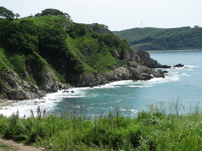 5559494_DSC02821 (700x525, 321Kb)
