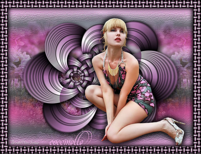 cocccinelle (700x538, 123Kb)