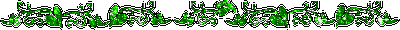 .11 (400x30, 6Kb)