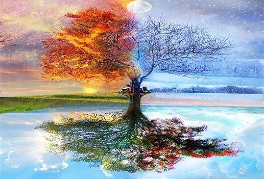 100 (539x365, 64Kb)