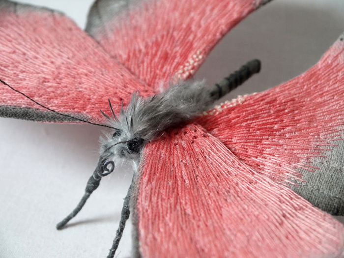textile-sculptures-insects-moths-butterflies-yumi-okita-10 (700x525, 368Kb)