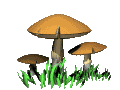 58vtvekm (120x90, 15Kb)
