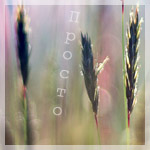   4 (150x150, 22Kb)