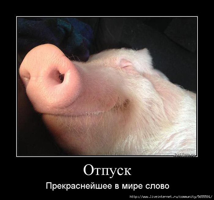 1407496809_34 (700x655, 133Kb)