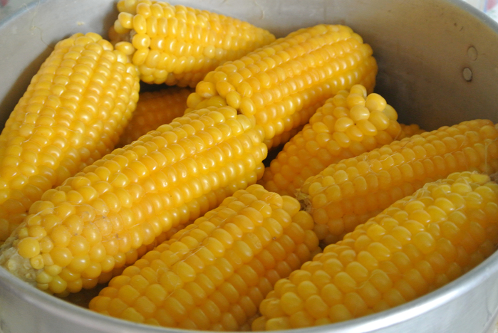 2014-08-08 13-30-12 (700x468, 394Kb)