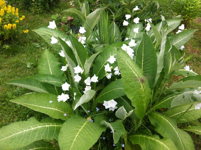 045 (700x522, 216Kb)