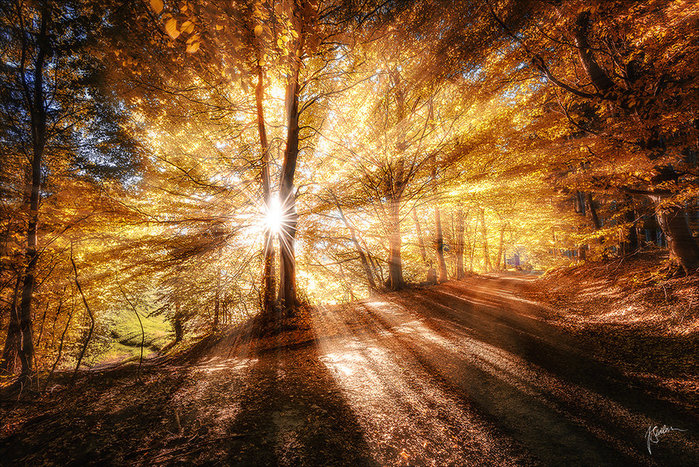 _autumnal_dreaming__by_janek_sedlar-d6gfzv0 (700x467, 227Kb)