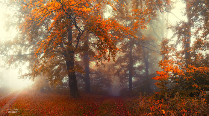 _the_road_into_depths_of_the_soul__by_janek_sedlar-d7rn9o0 (700x388, 126Kb)