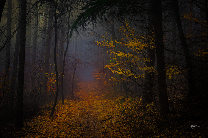 _talking_with_shades__by_janek_sedlar-d6kr3ng (700x464, 441Kb)