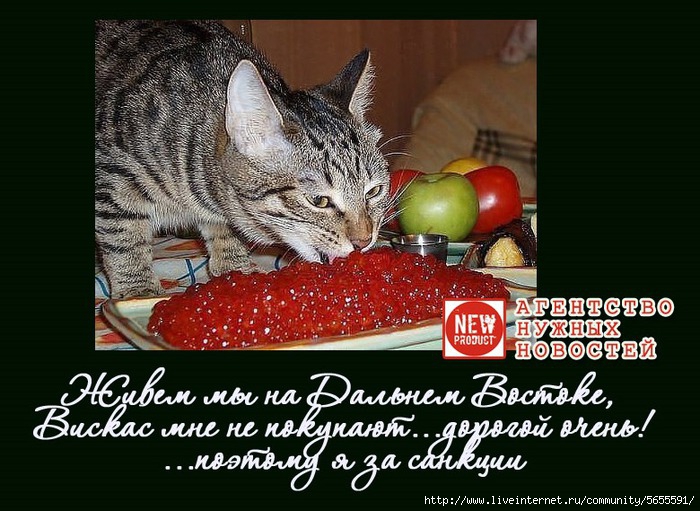 1407665018_Bez_imeni1 (700x511, 248Kb)