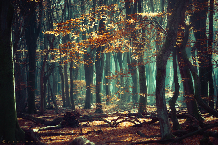 3623822_a5 (700x465, 513Kb)