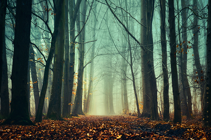3623822_a21 (700x465, 515Kb)