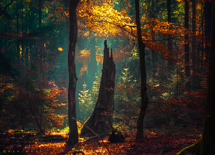 3623822_a7 (700x503, 562Kb)