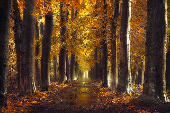 3623822_oer_wout1 (700x466, 594Kb)