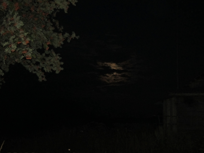 IMG_2125 (700x525, 211Kb)