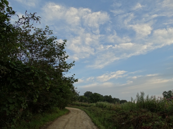 5559494_DSC03097 (700x525, 262Kb)
