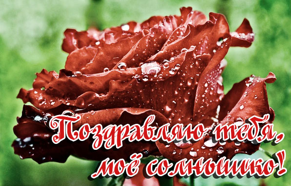Картинки с днем рождения солнышко мое любимое, красивые девушками спины
