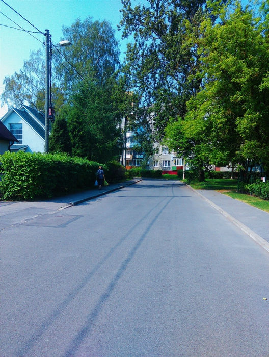 1932352_20140813_07_17_18_1 (528x700, 369Kb)
