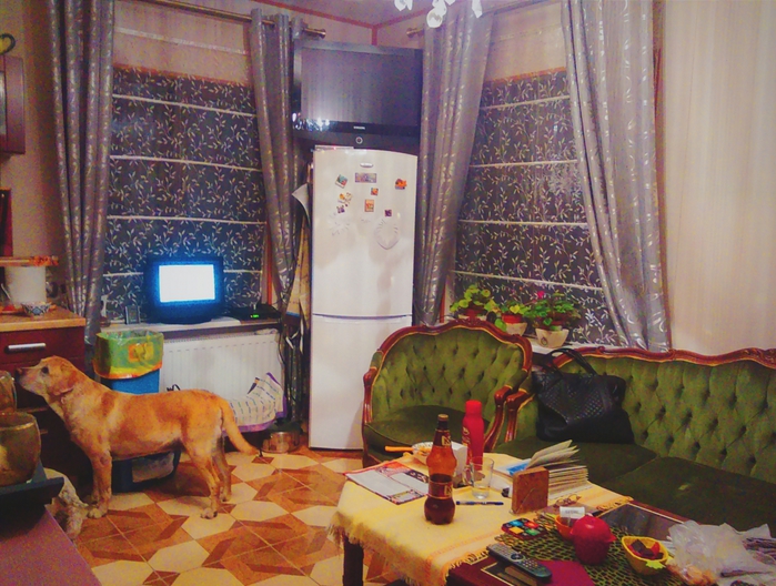 1932352_20140813_07_14_46_1 (700x528, 329Kb)