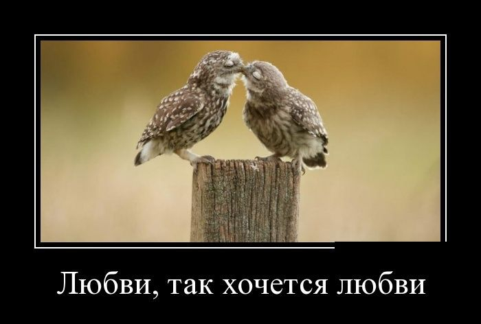 20 (700x472, 125Kb)