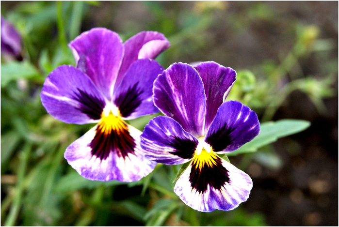 4 (700x469, 381Kb)