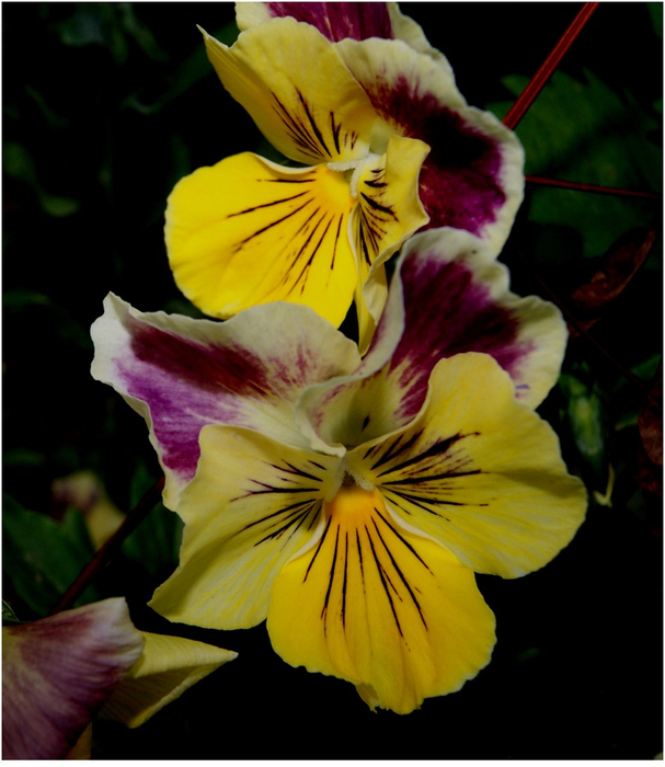 13 (607x700, 346Kb)