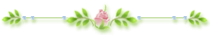 2681762_divider_97 (300x50, 6Kb)