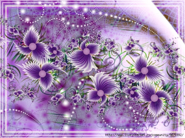 Fractal13 (640x480, 354Kb)