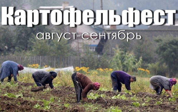 amr6E77QhTA (604x382, 69Kb)
